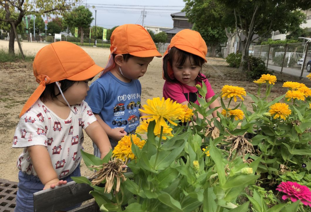花を観察する園児たちの画像